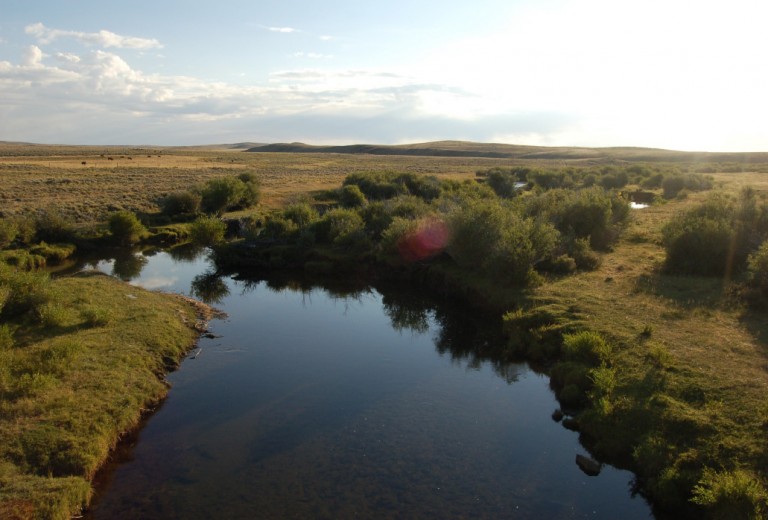 Conservation Easements