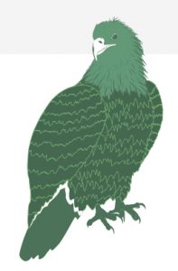 Illustration of an eagle in green.