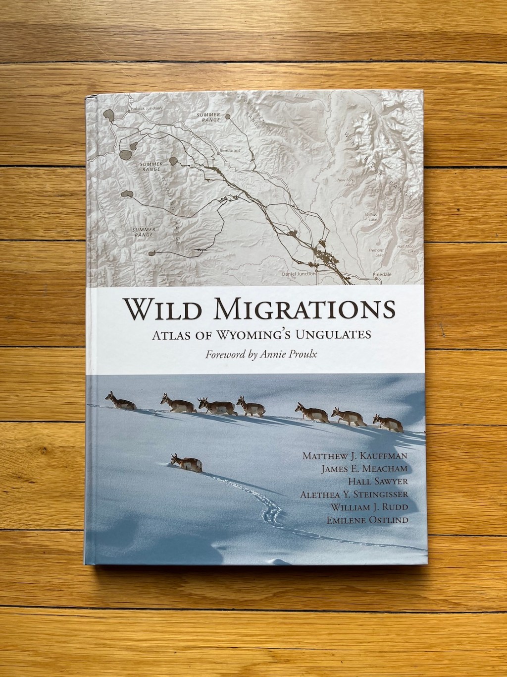 Wild Migrations
